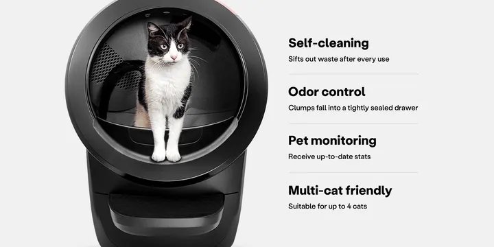 Litter-Robot 4 self-cleaning smart litter box with waste drawer in a modern home