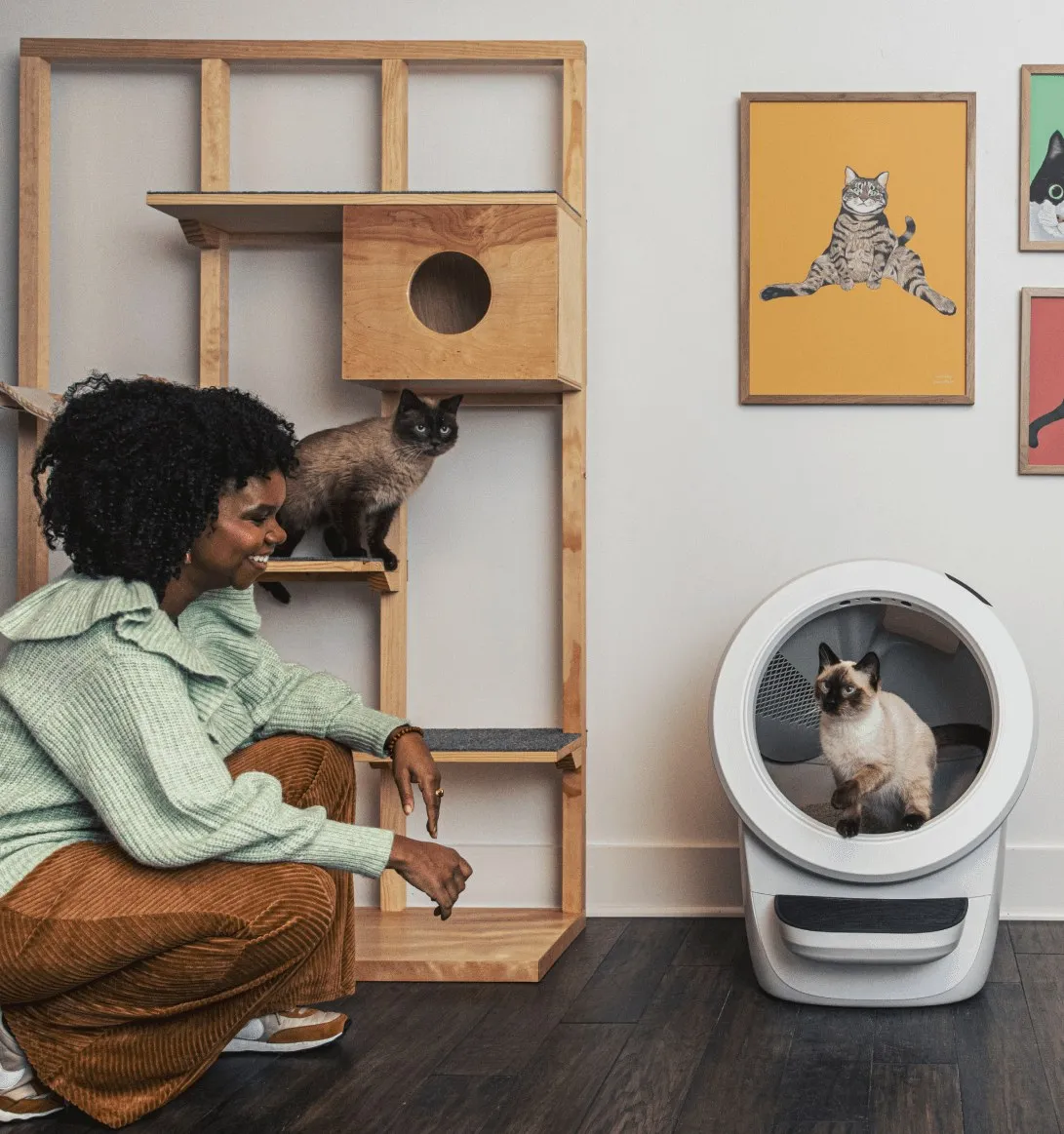 Whisker's own WhiskerCare protection plan image from the Litter-Robot 4 product page, showing the coverage a second owner keeps only while the robot is inside its first year